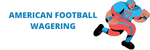 Features of betting on American football for beginners